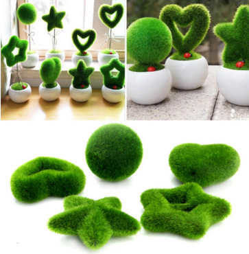 Fresh Moss Balls Green Plant Home Decoration