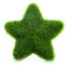 Fresh Moss Balls Green Plant Home Decoration