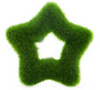 Fresh Moss Balls Green Plant Home Decoration