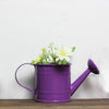 Pastoral Style Candy Tin Flower Pot