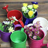 Pastoral Style Candy Tin Flower Pot