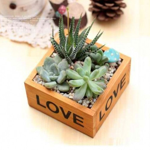 Wood Retro Square Flower Pot