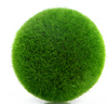 Fresh Moss Balls Green Plant Home Decoration