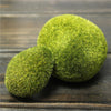 Green Artificial Moss Stones Grass Bryophytes
