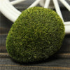 Green Artificial Moss Stones Grass Bryophytes