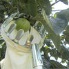 Convenient Fruit Picker Garden Tool