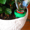 Ceramic Automatic Watering Bottle