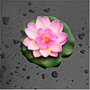 Artificial Water Lily Silk Plastic Flowers