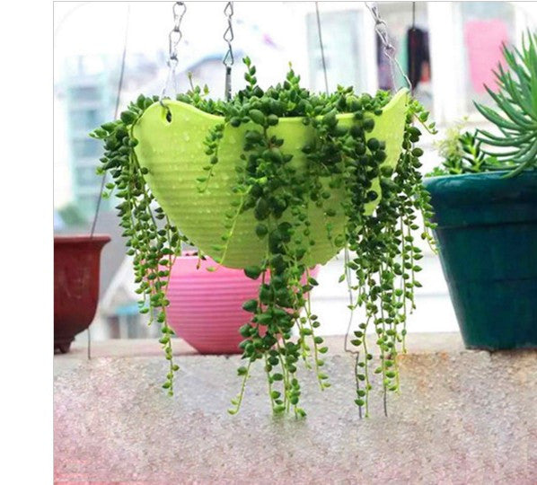Hanging Backetplant With Hook Hang Basket For Bonsai Pot