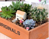 Wood Retro Vintage Square Flowerpots Box