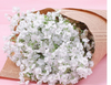 Gypsophila Artificial Fake Silk Flowers