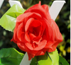 Artificial Rose Garland Silk Vine Flower Plant