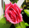 Artificial Rose Garland Silk Vine Flower Plant