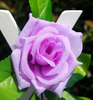 Artificial Rose Garland Silk Vine Flower Plant