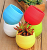 Mini Plastic Flower Pot Succulent Plant Flowerpot