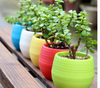 Mini Plastic Flower Pot Succulent Plant Flowerpot