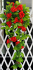 Artificial Rose Garland Silk Vine Flower Plant